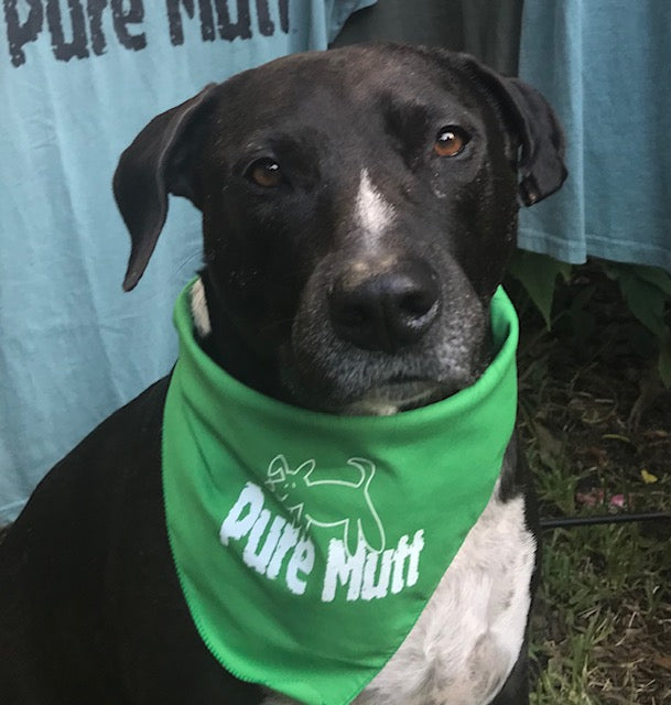 Pure Mutt Bandana Medium/Large Size