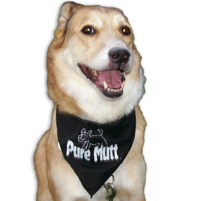 Pure Mutt Bandana Medium Size