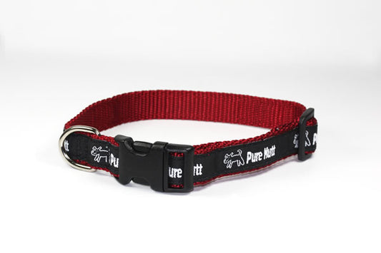 Pure Mutt dog collar in narrow width